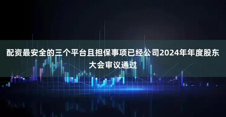 配资最安全的三个平台且担保事项已经公司2024年年度股东大会审议通过